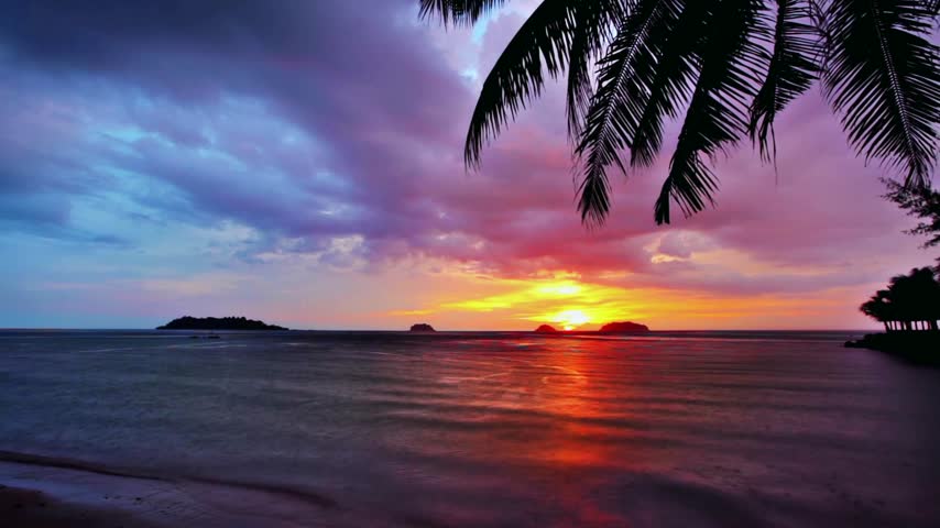 Tropical Sunset Over Ocean with Palm Tree Silhouette and Colorful Sky