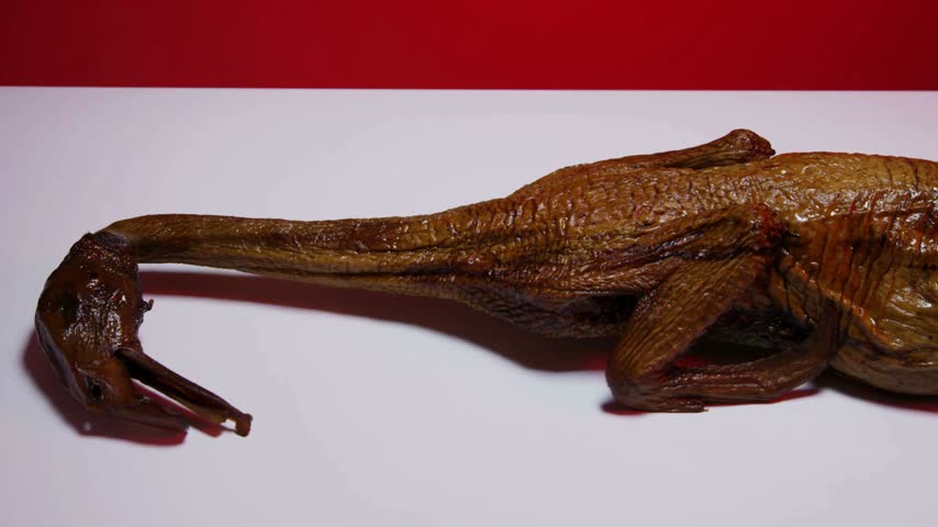 Whole roasted duck or goose with golden crispy skin lying on white table with red background holiday feast meal dinner dish meat food
