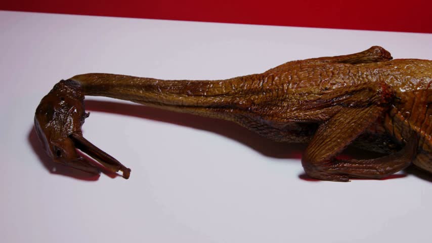 Side view of whole roasted duck or goose with crispy skin on white surface red background traditional asian cuisine holiday meal