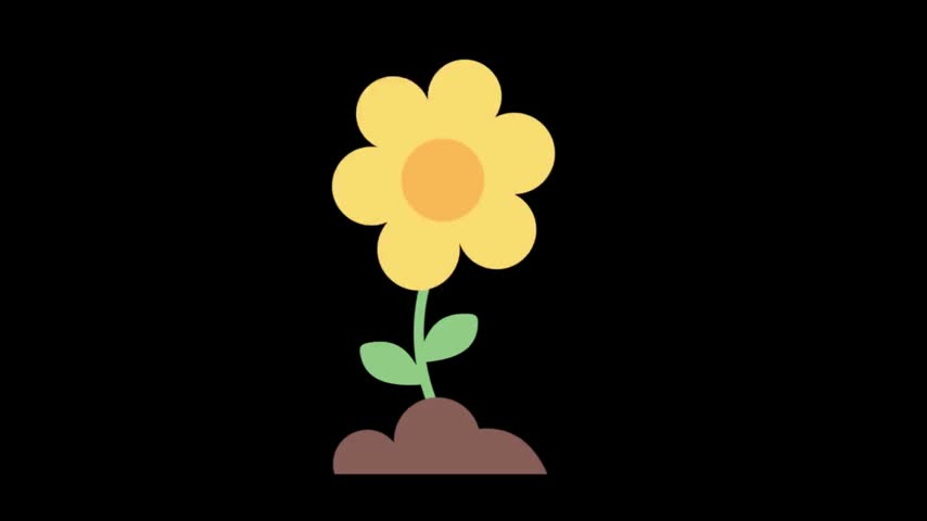 2D Animated Yellow Flower Growing Sprouting from Soil