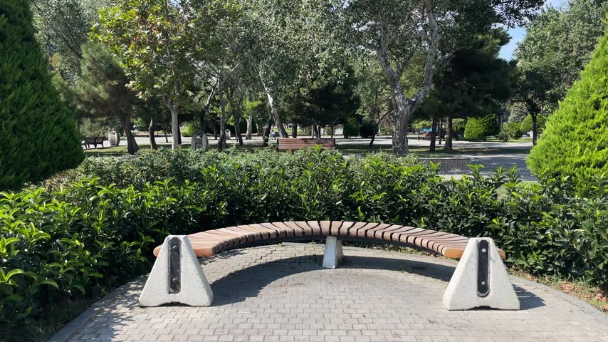 Empty Bench Surrounded by Green Trees on Baku Boulevard