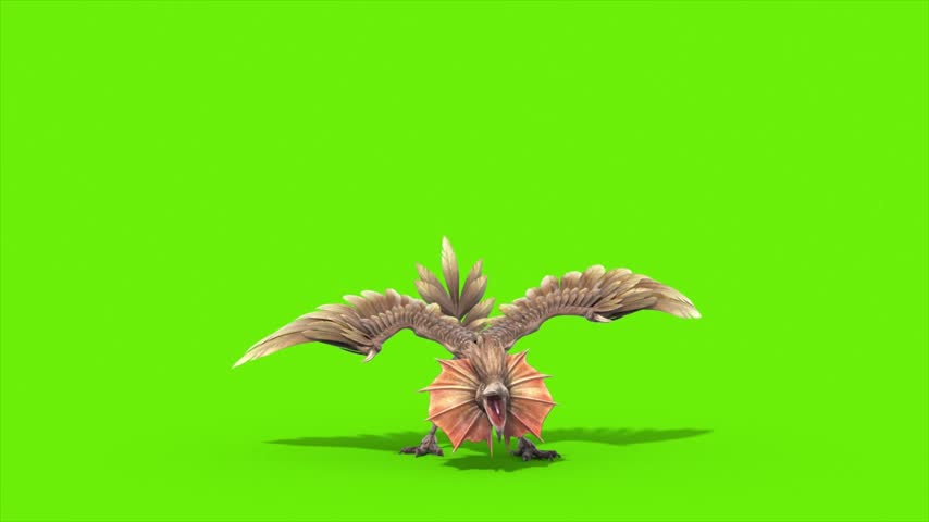 Green Screen Archaeopteryx Die Front Dinoasaurs 3D Rendering Animation CGI 4K