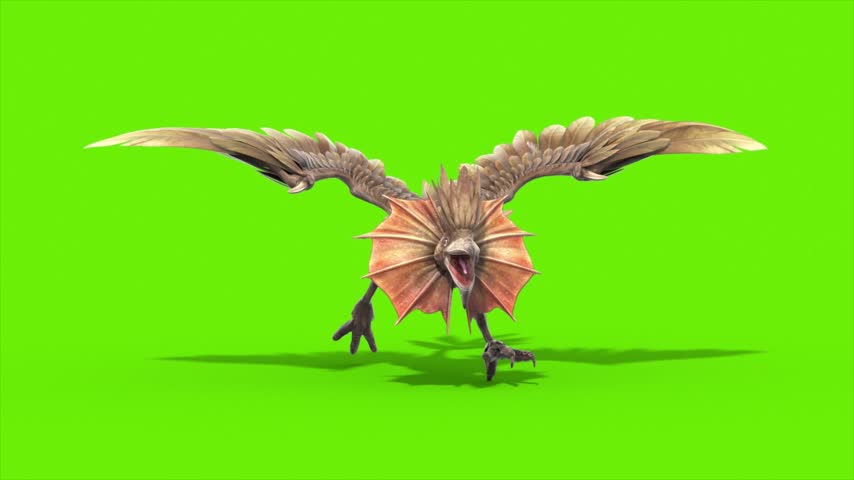 Green Screen Archaeopteryx Runcycle Front Loop Dinoasaurs 3D Rendering Animation CGI 4K