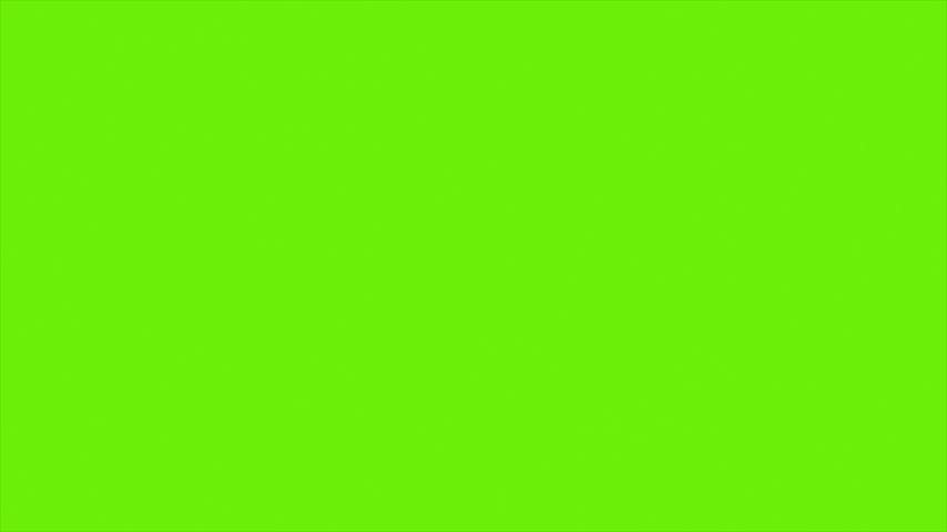 Green Screen Archaeopteryx Runs Side Dinoasaurs 3D Rendering Animation CGI 4K