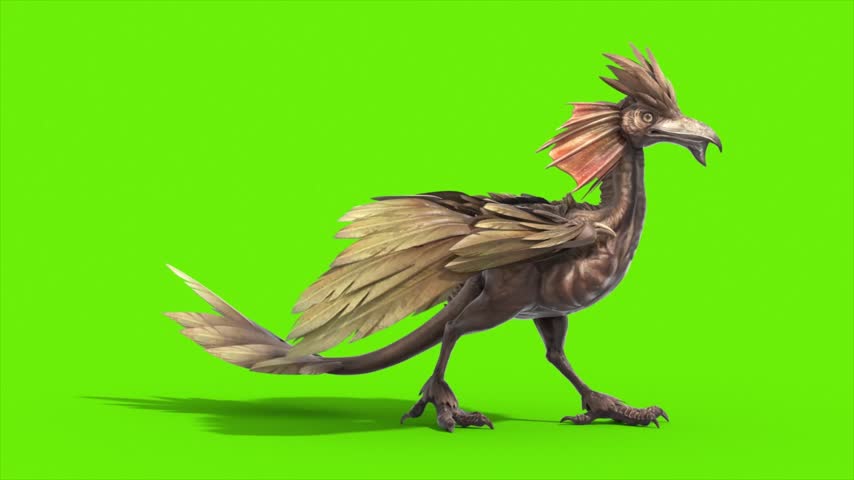 Green Screen Archaeopteryx Walkcycle Side Loop Dinoasaurs 3D Rendering Animation CGI 4K