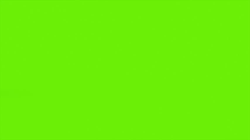 Green Screen Archaeopteryx Walks Side Dinoasaurs 3D Rendering Animation CGI 4K