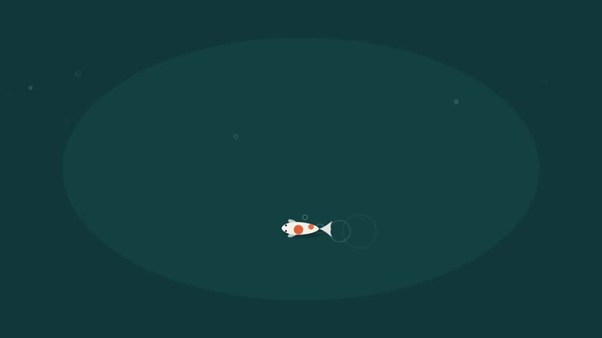 Two koi fish weaving across the pond in opposite directions