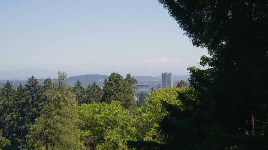City skyline beyond lush evergreen trees with distant mountains under a clear blue sky, establishing pan right