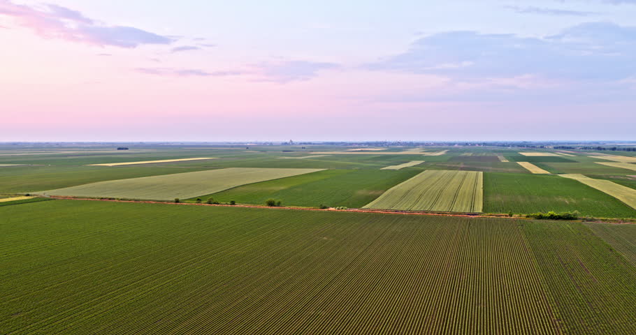 Vast green agricultural fields stretching to the horizon under a beautiful pink and blue sky