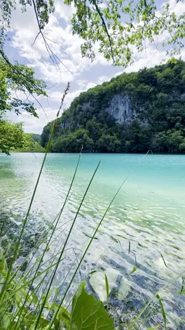 Serene view of blue crystal clear lake surrounded by lush green forest in Plitvice Lakes National Park, Croatia. Beautiful turquoise water body framed by dense summer trees and wild natural vegetation in UNESCO World Heritage site.