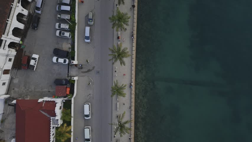 Drone flies west in bird