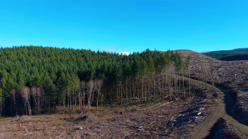 A breathtaking zoom over the trees to reveal Mt. St. Helens on a sunny afternoon in mid-February in southwest Washington State.
