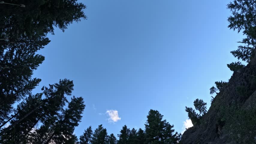 Timelapse of clouds moving across a blue sky framed by tall forest trees and a rocky slope at Blewett Pass in Washington State.