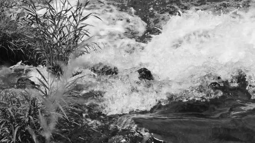 Black and white close up shot of fast rushing water flowing in a river past reeds on the bank