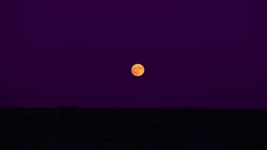 A golden full moon rises slowly above the horizon in this timelapse, glowing warmly against a deep purple twilight sky