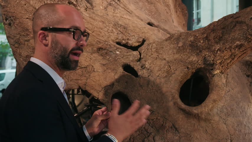 Male scientist in a museum explaining the anatomy of a giant dinosaur skeleton from the jurassic era