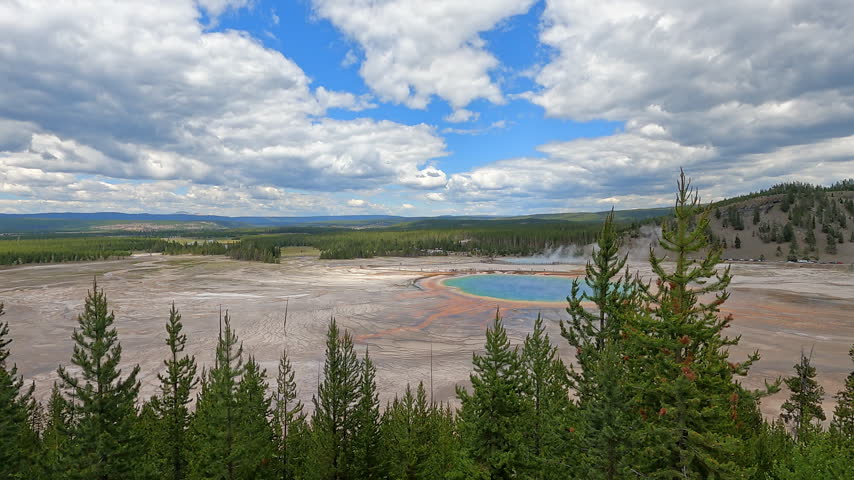 High-angle view of a large, colorful geothermal spring surrounded by pine trees.