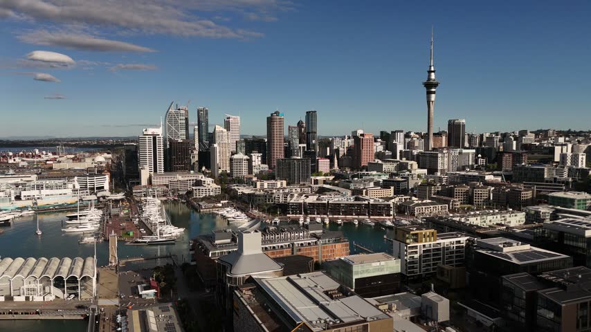 Auckland Sky Tower rises above dense CBD skyscrapers overlooking Wynyard Quarter marina, white yachts dock along wide waterfront promenade under clear sky in New Zealand. Aerial drone wide shot