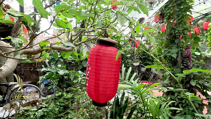 Red paper lantern hanging on a tree at a traditional Vietnamese temple in Hanoi. Symbolizes cultural heritage and festive celebrations. Ideal for travel and tourism content