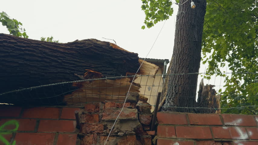 Storm damaged tree trunk resting over brick wall and wire fence in leafy backyard garden