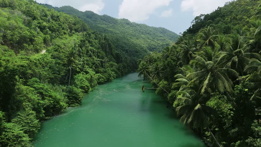Drone ascends above the green Loboc River, revealing palm-lined riverbanks and forested hills in Bohol
