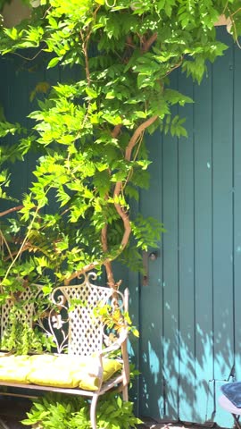 Flowers bloom around a blue door, with plants on the windowsill in a charming garden on a bright day.