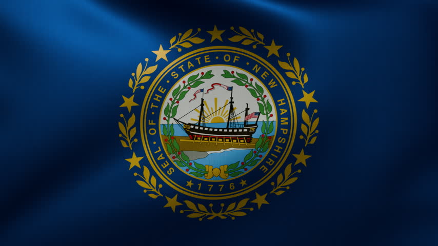 The New Hampshire state flag waving in the wind. 3D Illustration