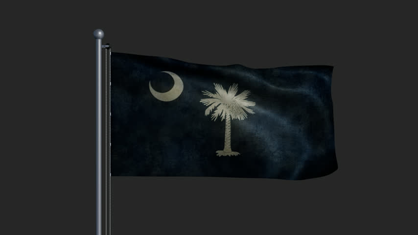 Flag of South Carolina on a pole with worn fabric texture in motion. 3D Illustration