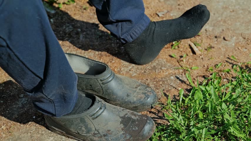 Person slips feet into muddy rubber clogs before gardening in bright sunlight