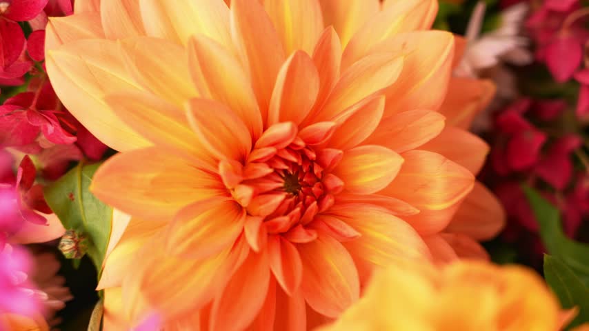 Autumn Fall Bouquet for Thanksgiving holiday. Seasonal Warm colorful blossom flowers arrangement festive decoration. Selective