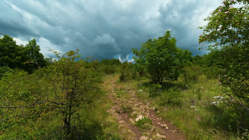 Dense green foliage sways under stormy gray skies. Rugged path winds through scattered rocks and wild grasses. Location: Hiking to Kozji Kamen viewpoint, The Balkan Mountains (Stara Planina). Balkans, Serbia