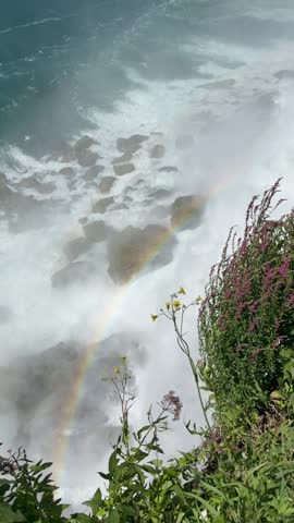 Niagara Falls with a beautiful rainbow and colorful flowers in summer, scenic view of the cascading waterfall and surrounding nature