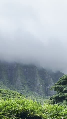 Lush green mountains at Kualoa Ranch Hawaii