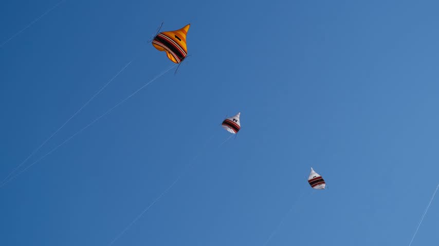 Many Colorful Kites Flying in a Blue Sky on Taut Strings Shimmering in Sunlight During an Annual Kite Festival, 4K 50fps