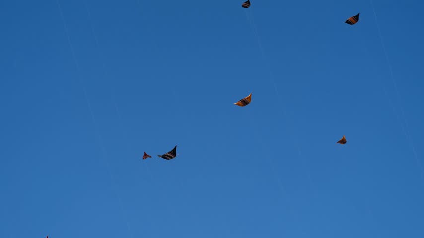 Many Colorful Kites Flying in a Blue Sky on Taut Strings Shimmering in Sunlight During an Annual Kite Festival, 4K 50fps