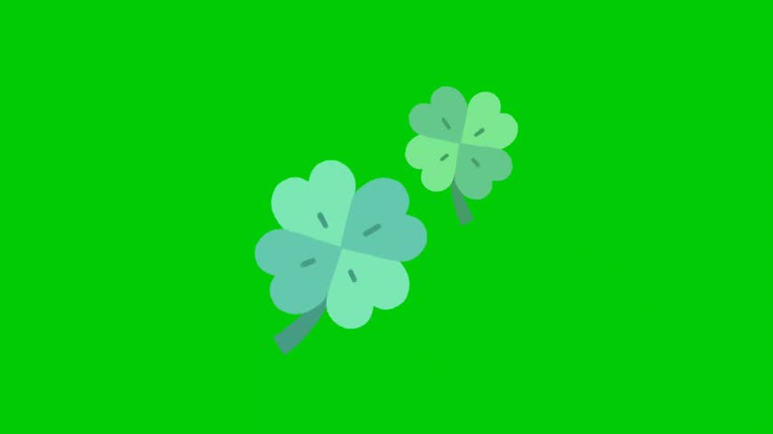 Lucky four leaf clovers floating on a green screen background simple and clean graphic featuring two four leaf clovers, symbolizing good fortune, isolated on a bright chroma key