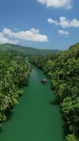 Vertical drone flyover of Loboc River with cruise boats traveling downstream between palm-lined forested hills in Bohol