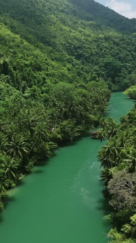 Vertical drone pulls back and ascends over Loboc River as cruise boats travel upstream between palm-lined forested hills in Bohol