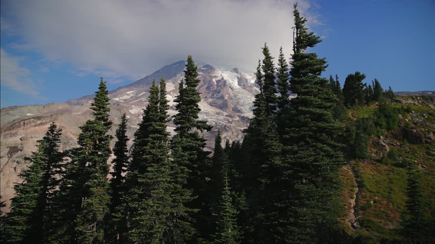 Glaciated cloud capped summit of Mount Rainier National Park Washington rising above a subalpine ridge of tall dark fir trees green meadows and rocky slopes under a clear blue summer sky.