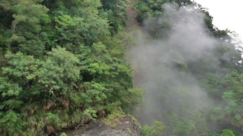 Thick fog drifts across a steep mountainside covered in lush green temperate forest.