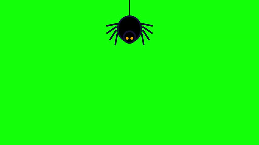 Minimalist vector illustration of a black spider with glowing orange eyes hanging from a single silk thread against a bright chroma key green screen background for video compositing.