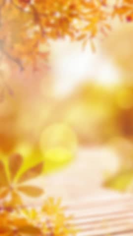 Animation of happy thanksgiving day text over autumn leaves background. Thanksgiving, autumn, fall, festivity, celebration and american tradition concept digitally generated video.