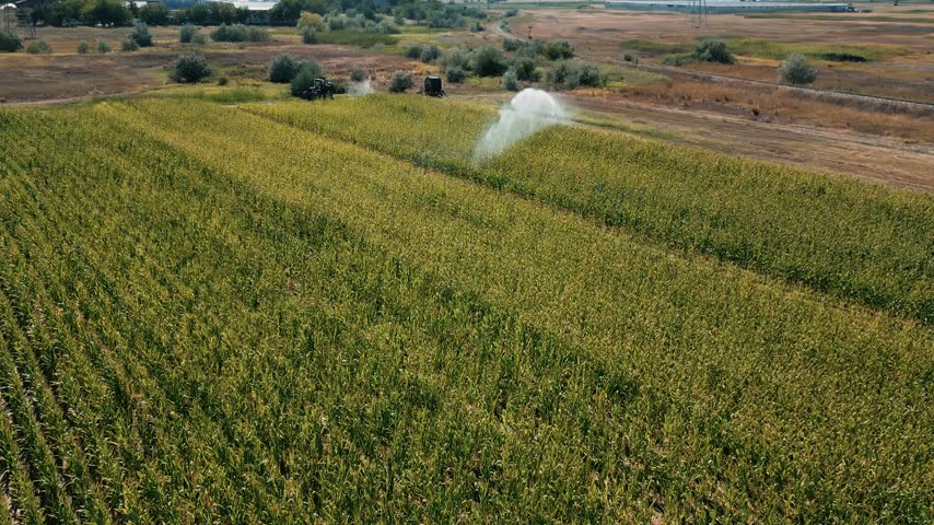 Irrigation system for watering corn field. Water cannon spraying farmland and pastures, covering huge area of crops.
