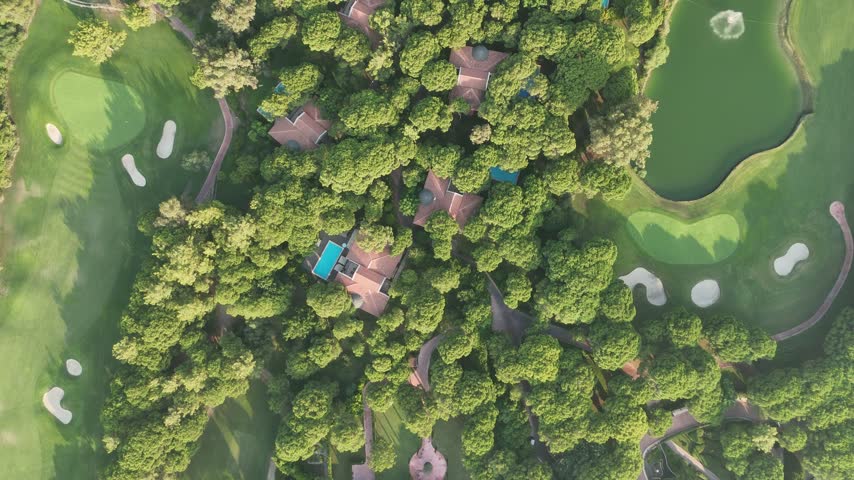 Aerial view of large mansion houses with swimming pool, in affluent green neighborhood