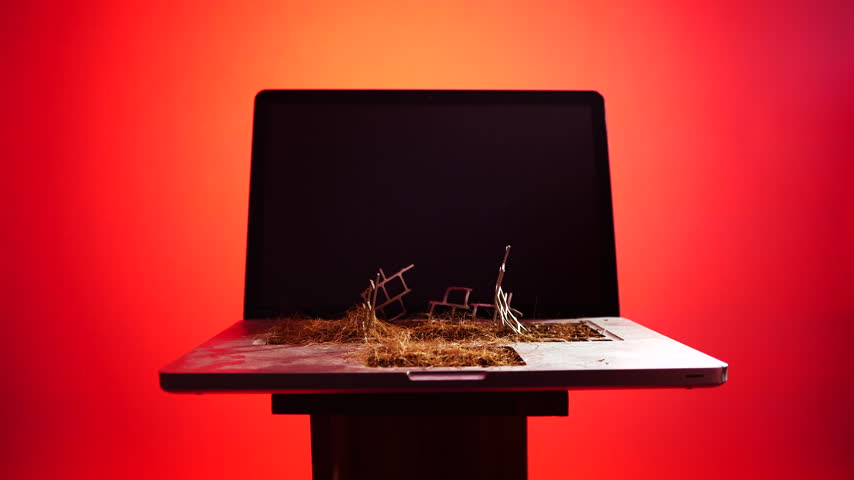 Post Apocalyptic Laptop Reclaimed by Nature on Red Background