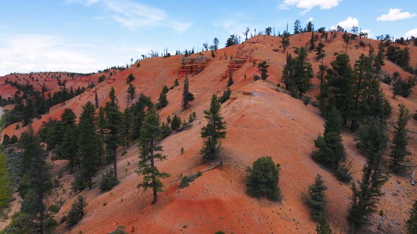 Aerial view of Red Canyon Arch along scenic Utah Route 12, where the highway passes beneath two consecutive natural stone arches carved into vivid red rock pillars near Bryce Canyon National Park. This aerial drone video captures cars gliding through the narrow boulder tunnels, framed by towering hoodoos and pine forest on both sides of the winding mountain road.
The footage reveals the striking color contrast between the rusty red sandstone formations, green ponderosa pine trees and clear blue sky above southern Utah. Carved naturally over centuries by erosion, these twin stone arches form one of the most photographed roadside landmarks along the entire Utah Scenic Byway 12, a route often ranked among the most beautiful drives in the country.
Shot from above, the drone clip follows the curve of the highway as it climbs through Dixie National Forest, revealing layers of eroded stone walls, narrow canyons and dramatic spires rising beside the winding pavement below. Passing vehicles appear tiny beneath the massive boulder gateway, highlighting the scale of this unique geological wonder found nowhere else along the road system of the American West, where nature itself shaped a passage for traffic through solid rock.
Perfect for travel documentaries, tourism marketing, adventure vlogs, road trip content and cinematic projects celebrating the natural beauty of southern Utah. This clip suits stories about scenic drives, national park journeys, exploration, wanderlust and iconic filming locations connecting Bryce Canyon, Zion and the wider Colorado Plateau region, appealing equally to travel brands, bloggers and independent filmmakers.
Whether for a tourism campaign, a documentary intro or a personal passion project, the aerial shot delivers a powerful, high quality visual of a rare natural arch crossing a public highway, capturing the timeless charm of red rock country and the unforgettable drive through ruby Canyon from a bird