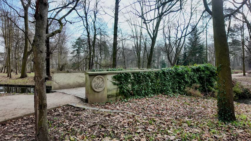 Video of a stone park bridge overgrown with green ivy, surrounded by bare deciduous trees and dry fallen leaves, featuring a round stone relief detail, shot in natural daylight.