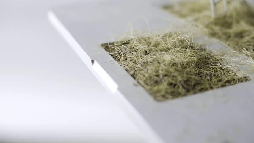 Post apocalyptic laptop reclaimed by nature with dried grass and No War message