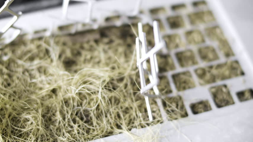 Post apocalyptic laptop reclaimed by nature with dried grass and No War message