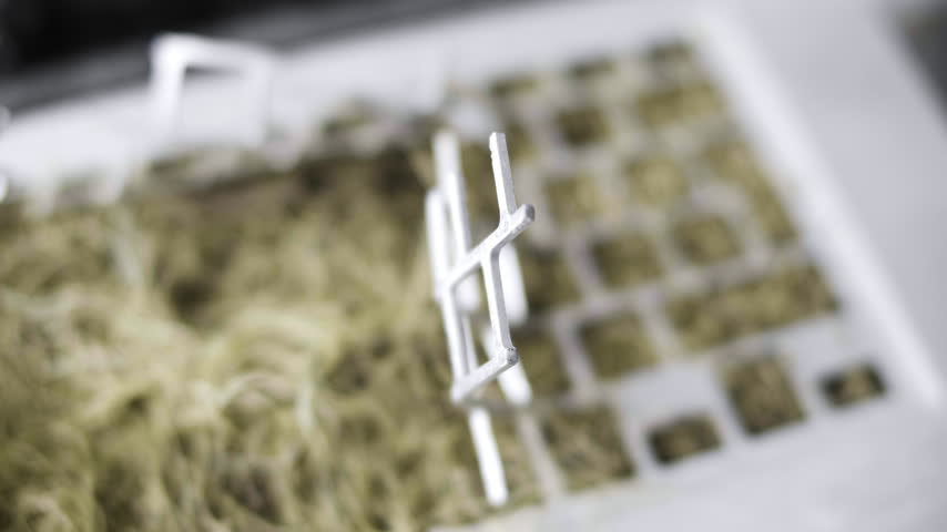 Post apocalyptic laptop reclaimed by nature with dried grass and No War message
